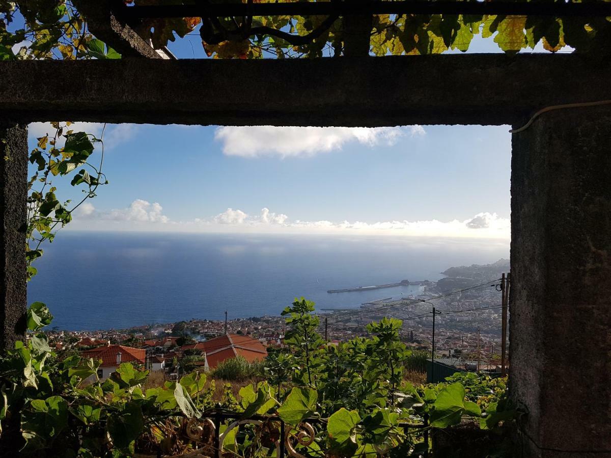 City View Gardens I Фуншал Экстерьер фото