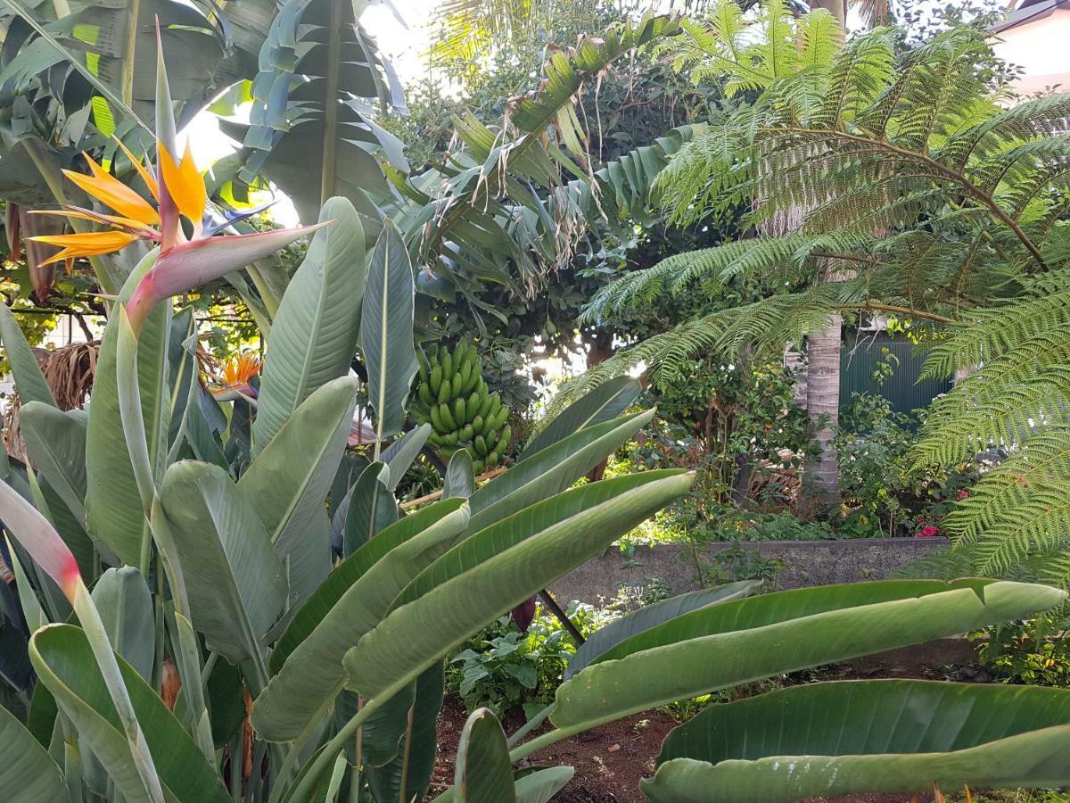City View Gardens I Фуншал Экстерьер фото